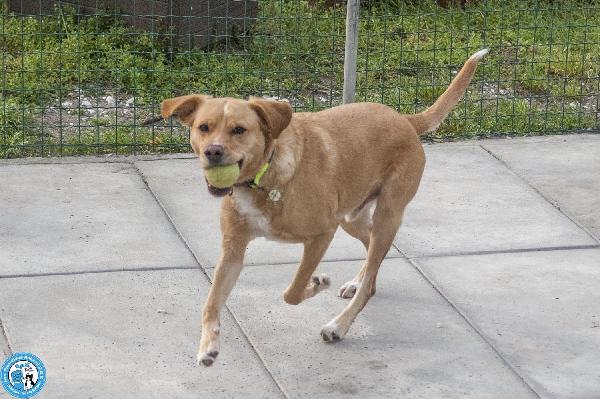 Washy: cercasi umano disposto a farsi rubare il cuore Foto 4